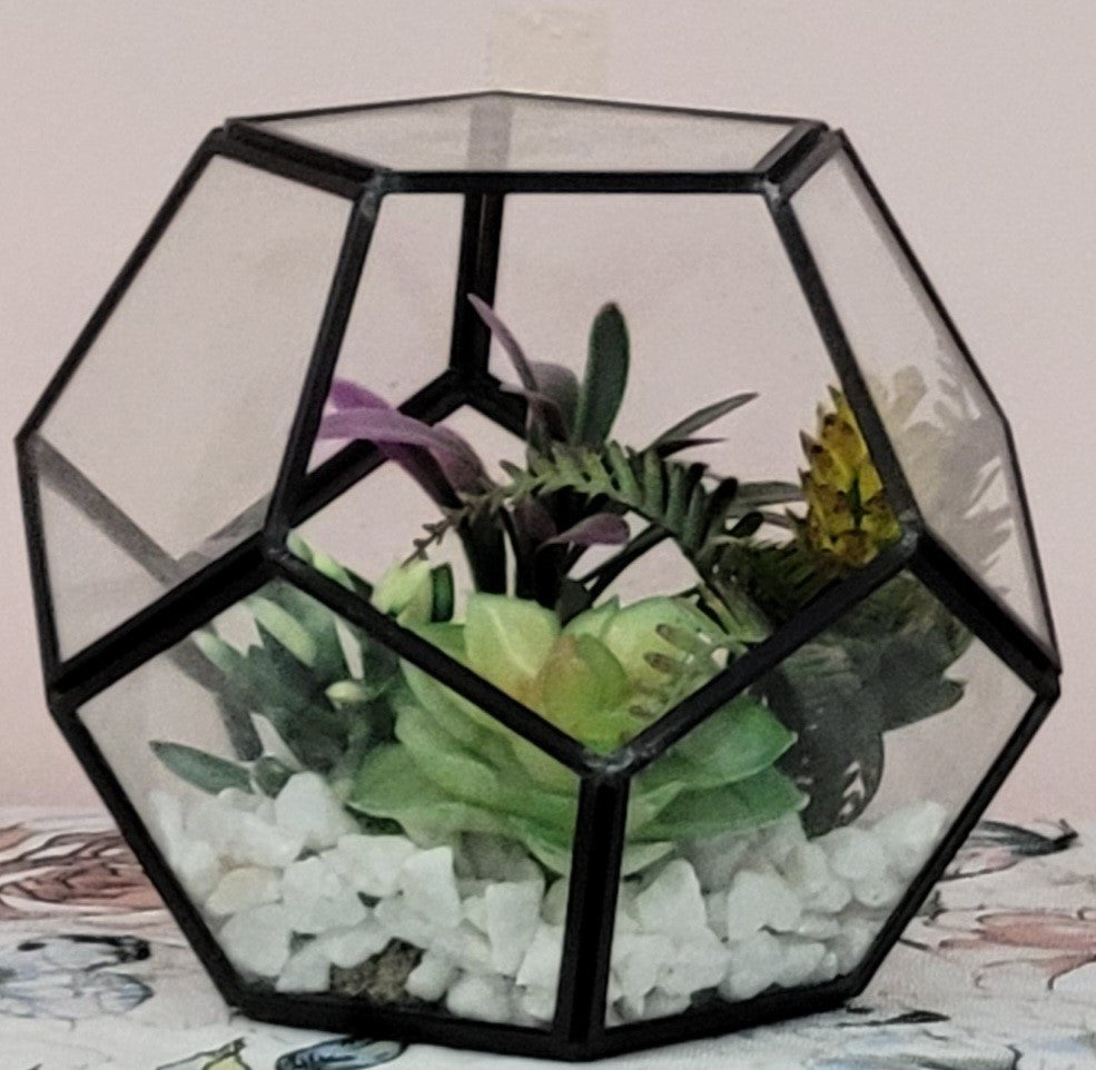 Terrarium with Succulents